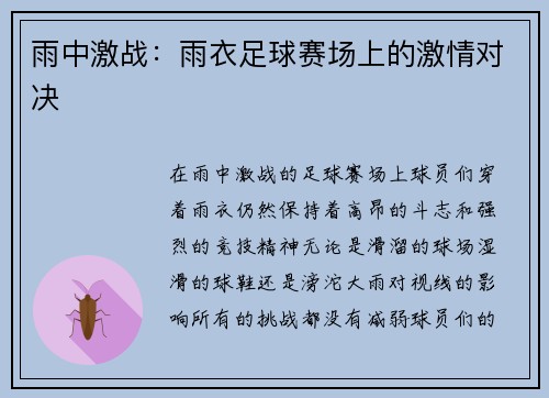 雨中激战：雨衣足球赛场上的激情对决