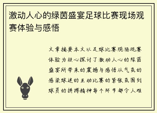 激动人心的绿茵盛宴足球比赛现场观赛体验与感悟