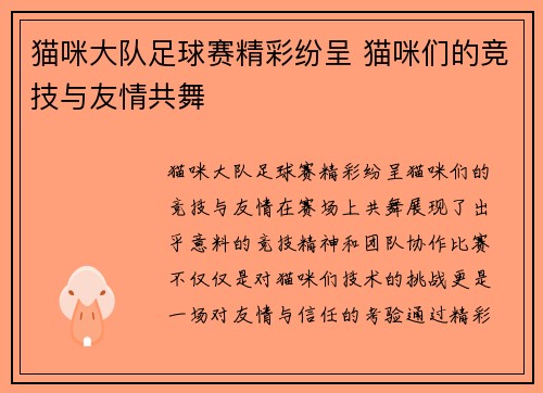 猫咪大队足球赛精彩纷呈 猫咪们的竞技与友情共舞