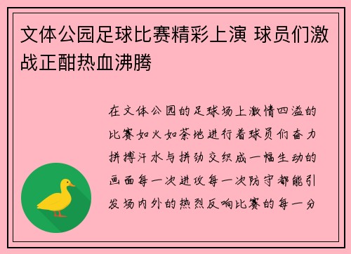 文体公园足球比赛精彩上演 球员们激战正酣热血沸腾