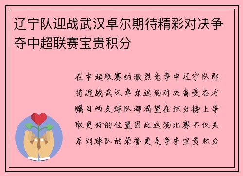 辽宁队迎战武汉卓尔期待精彩对决争夺中超联赛宝贵积分