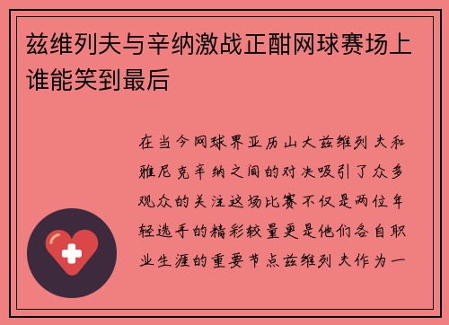 兹维列夫与辛纳激战正酣网球赛场上谁能笑到最后