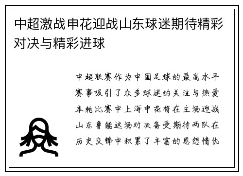 中超激战申花迎战山东球迷期待精彩对决与精彩进球