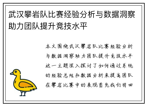 武汉攀岩队比赛经验分析与数据洞察助力团队提升竞技水平