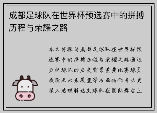 成都足球队在世界杯预选赛中的拼搏历程与荣耀之路