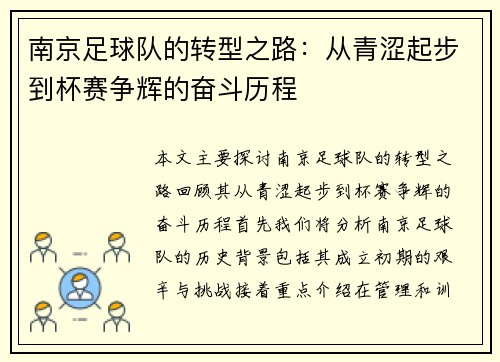南京足球队的转型之路：从青涩起步到杯赛争辉的奋斗历程